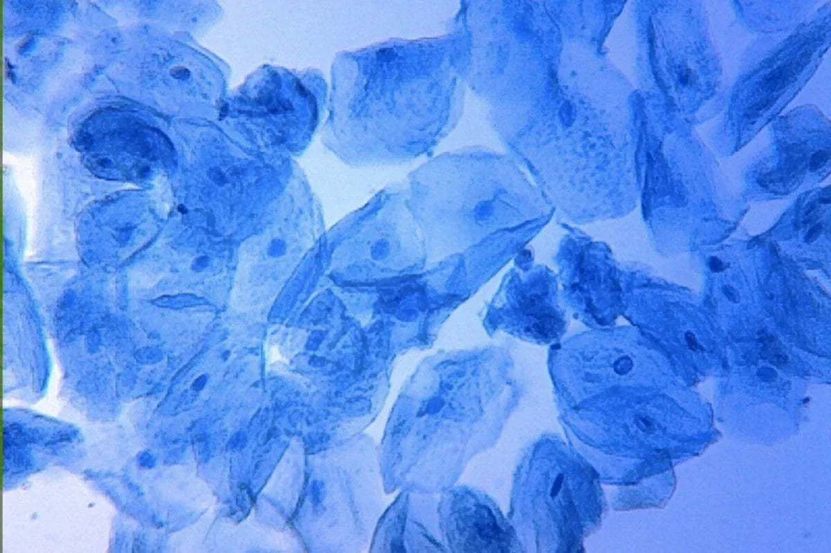 Methylene Blue: A Life-Saving Drug With Broad Clinical Uses